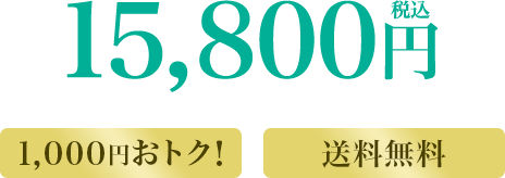 15,800円(税込) 1,000円おトク!送料無料