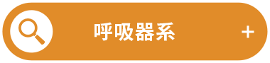 呼吸器系
