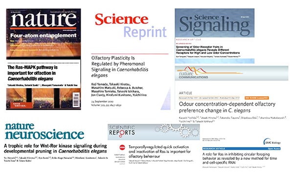 掲載ジャーナル