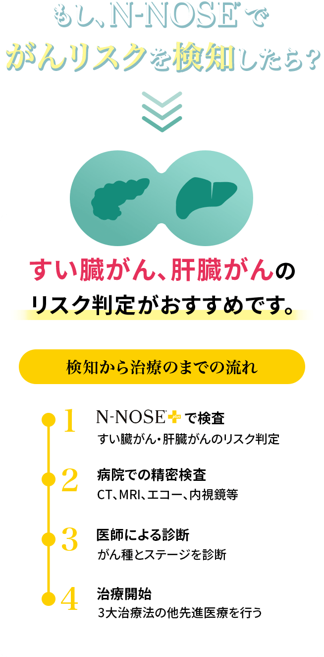もし、N-NOSEでがんリスクを検知したら?すい臓がん、肝臓がんのリスク判定がおすすめです。